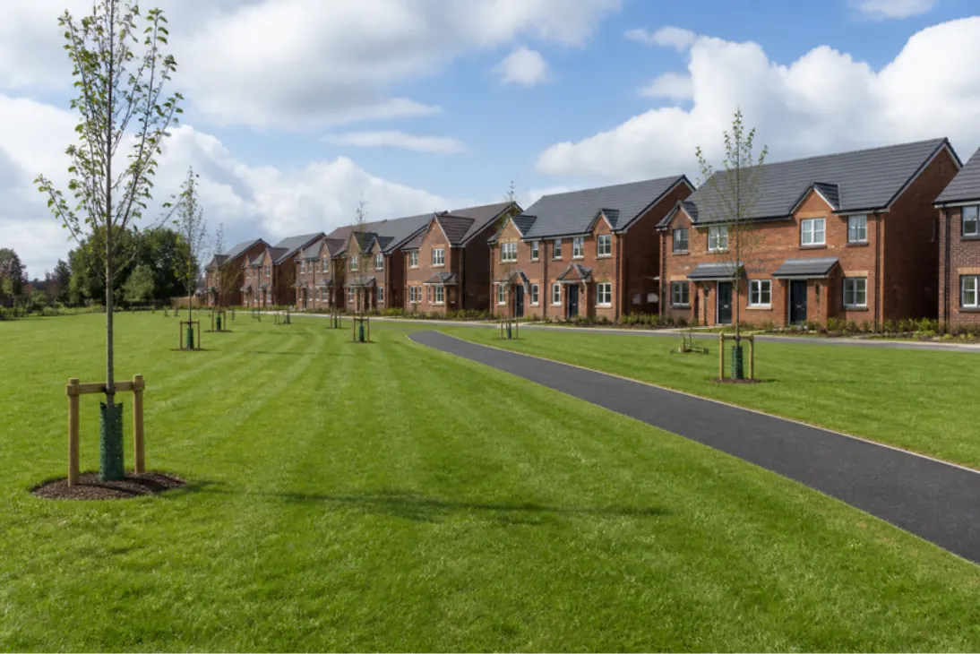Wide newly turfed public green with a curving tarmac path and staked trees in front of a row of new homes