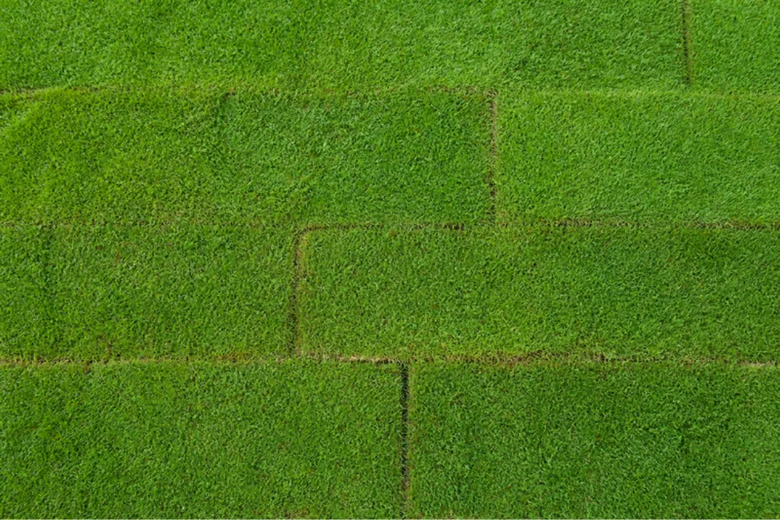 Top-down view of freshly laid turf strips with neat staggered joints, like courses of brickwork
