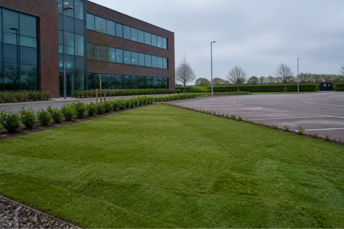 New turf strip and low hedging alongside an empty office car park and a brick and glass office building