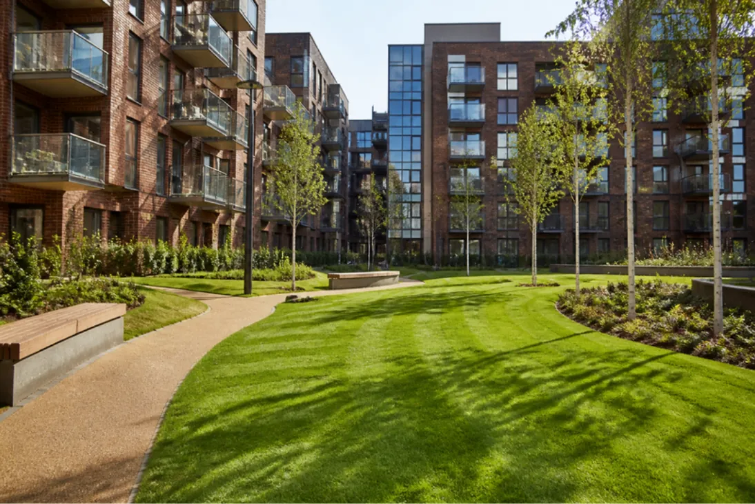 New communal lawn in a courtyard between brick and glass apartment blocks with curved paths and young birch trees