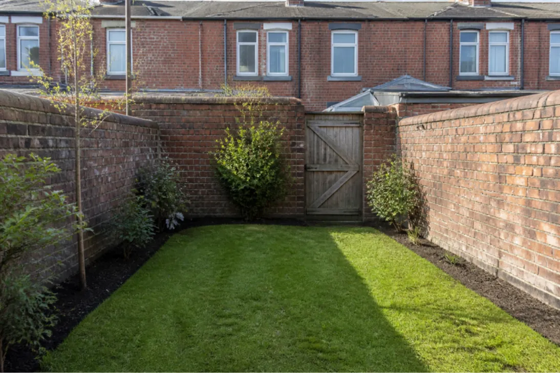 Neat rectangle of new turf in the walled back garden of a Victorian red-brick terrace with a gate to the alley