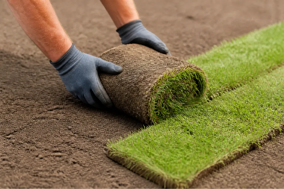 Gloved hands unrolling a fresh roll of turf on raked topsoil, butted tight to the strip beside it